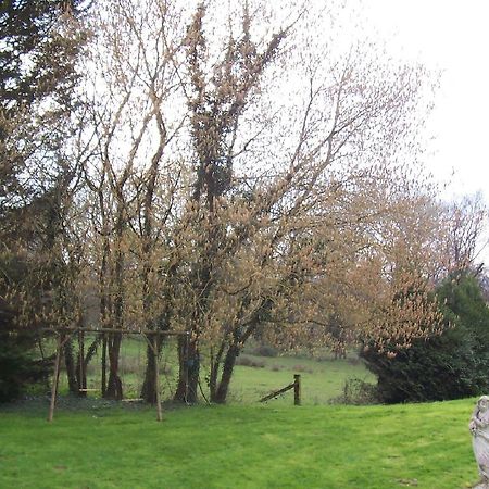 Chateau Champigny Bed & Breakfast Maillet  Luaran gambar