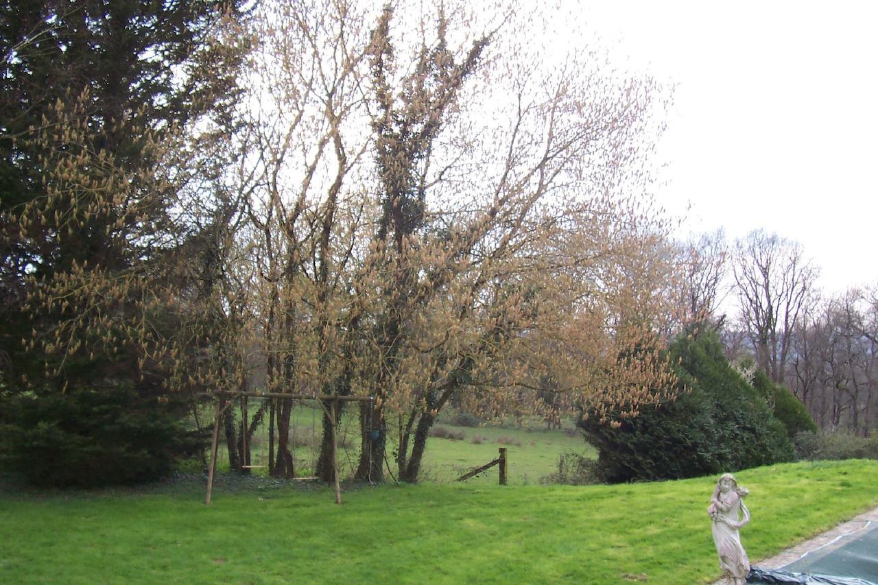 Chateau Champigny Bed & Breakfast Maillet  Luaran gambar